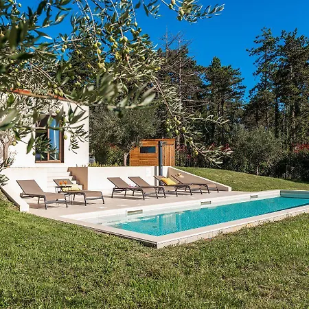 Сasa de vacaciones Mediterrane Steinvilla Mit Privatpool, Toller Aussicht, Starkem Wifi, Bbq Višnjan